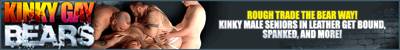Kinky Gay Bears